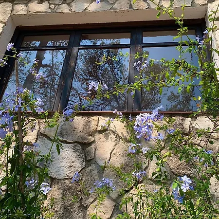 Appartamento La Casita Del Bosque Sant Pere De Ribes Esterno foto