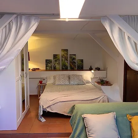 Appartamento La Casita Del Bosque Sant Pere De Ribes Esterno foto
