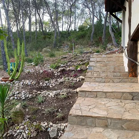 Appartamento La Casita Del Bosque Sant Pere De Ribes Esterno foto